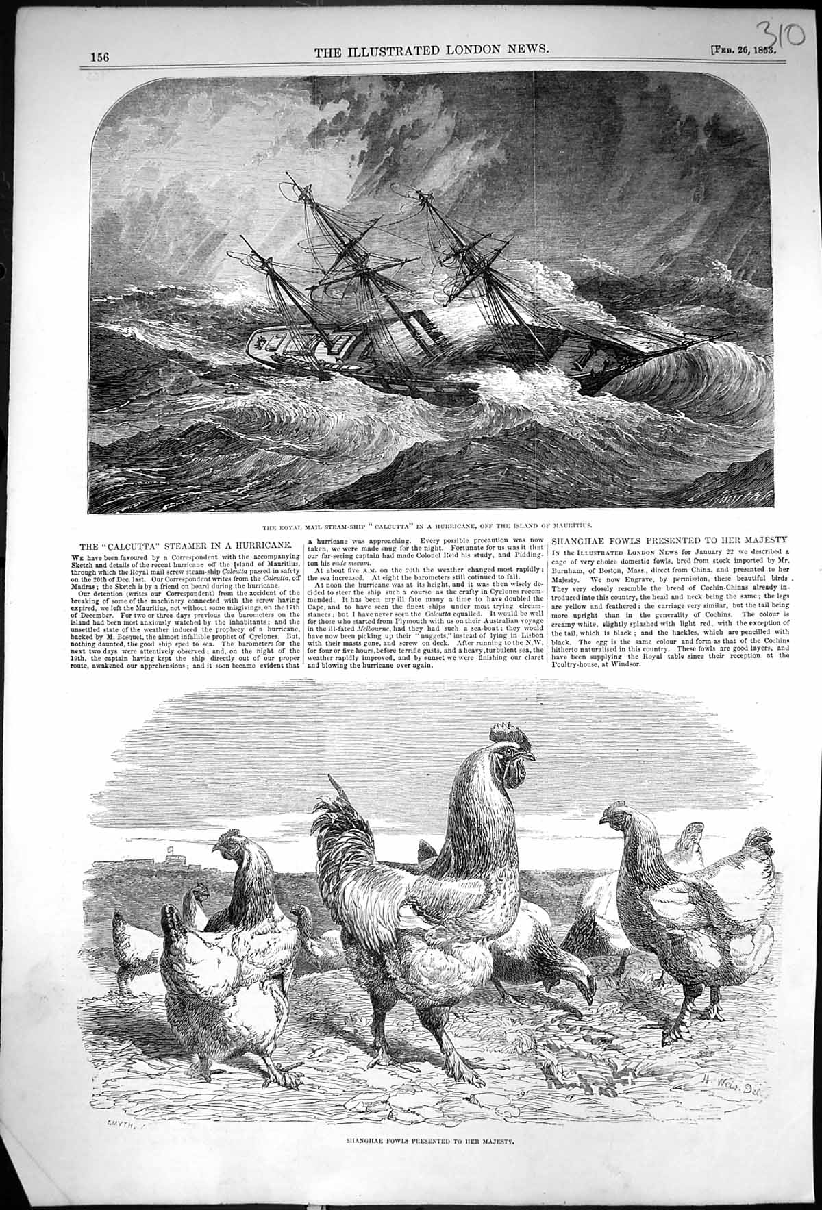 Old 1853 Royal Mail Steam Ship Calcutta Mauritius Shanghae Fowls Bird Victorian