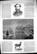 Old 1882 Commander Selby Illuminations Mentone Fan Pet Antelope Innis Victorian