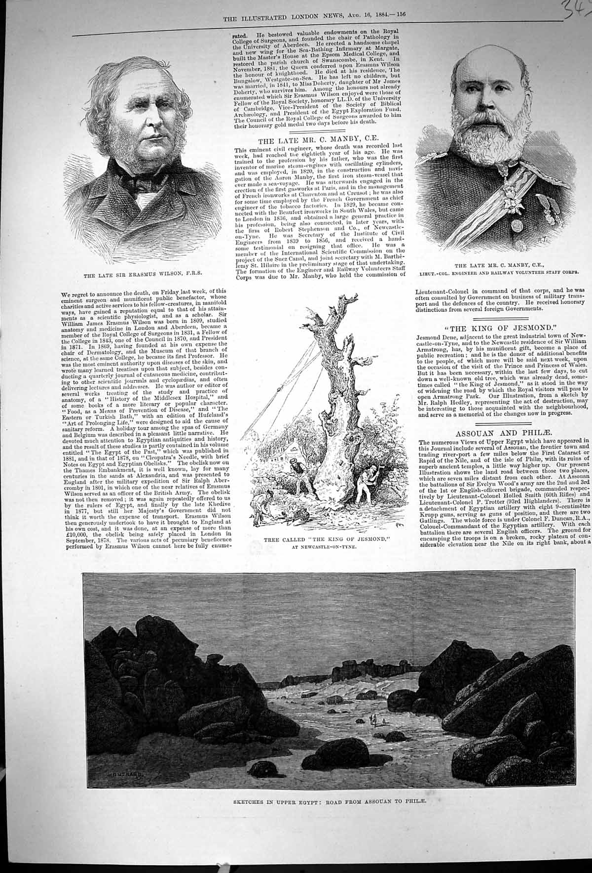 Old 1884 Egypt Road Assouan Philae Tree King Jesmond Erasmus Wilson M Victorian