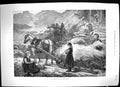 Old Antique Print 1881 Hay Harvest Norway Horse Sledge Mountains Fine Art 19th