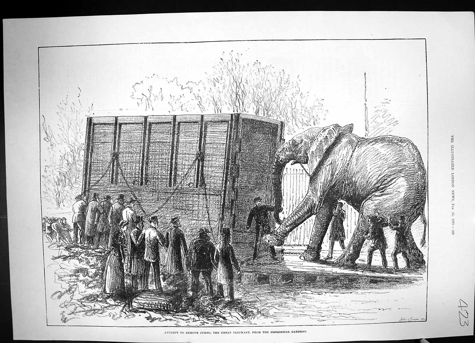 Old 1882 Scene Attempt Move Jumbo Elephant Zoological Gardens Regent' Victorian