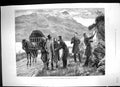 Old 1881 Ireland Posting Government Proclamation Connemara Policemen Victorian