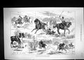 Old 1878 Mounted Sports Woolwich Garrison Lemon Cutting Tent Pegging Victorian
