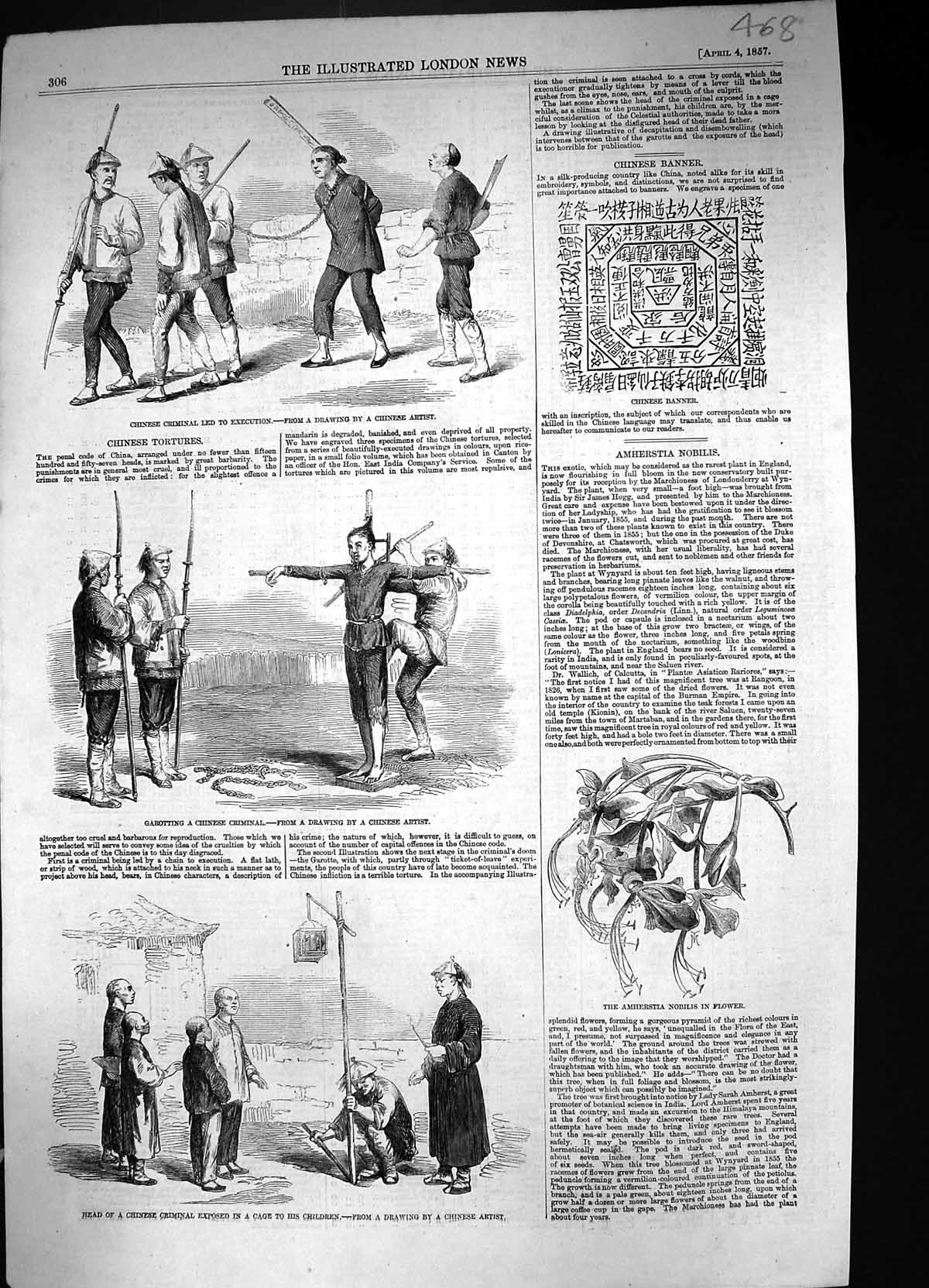 Old 1857 Chinese Tortures Criminal Garrotting Head Imperial Cage Bann Victorian