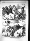 Antique Print 1866 Prize Poultry Pigeons Dogs Brigminham Show Animals Birds