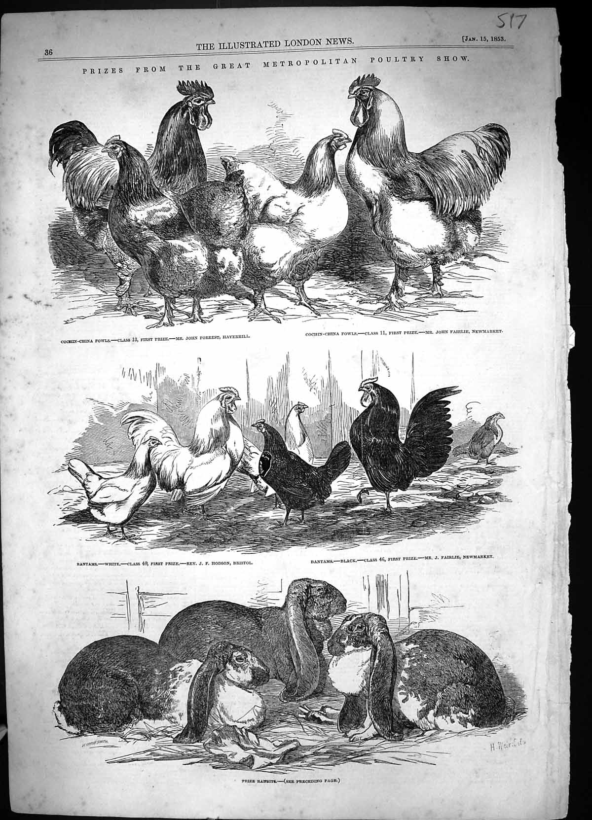 Old 1853 Metropolitan Poultry Show Cochin-China Fowls Bantams Rabbits Victorian