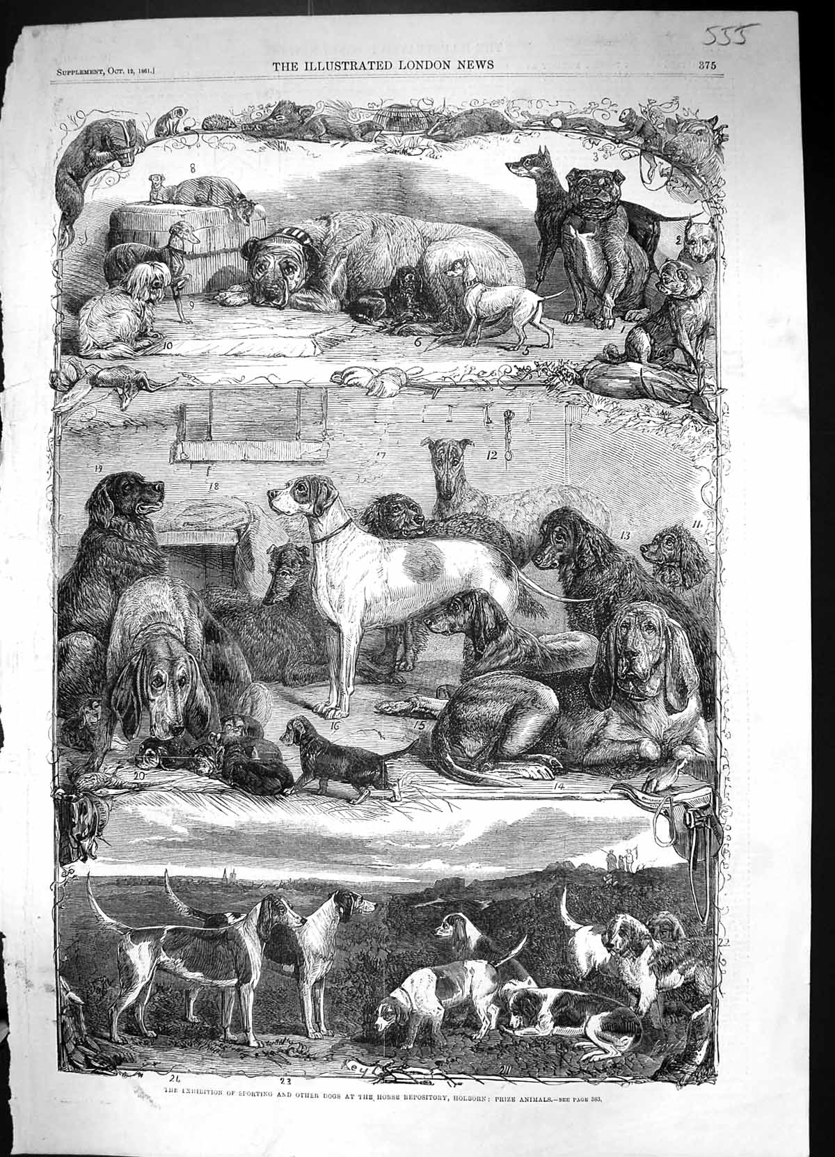 Old 1861 Exhibition Sporting Dogs Horse Repository Holborn Prize Anim Victorian