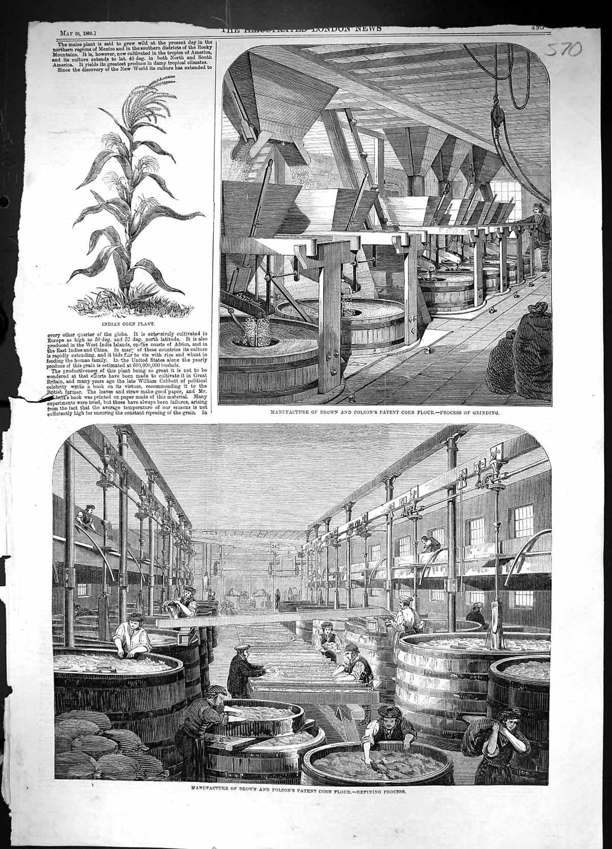 Old 1860 Manufacture Brown Polson Patent Corn Flour Indian Plant Refi Victorian