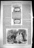 Original Old Antique Print 1862 Salmon Breeding Ponds River Pisciculture France