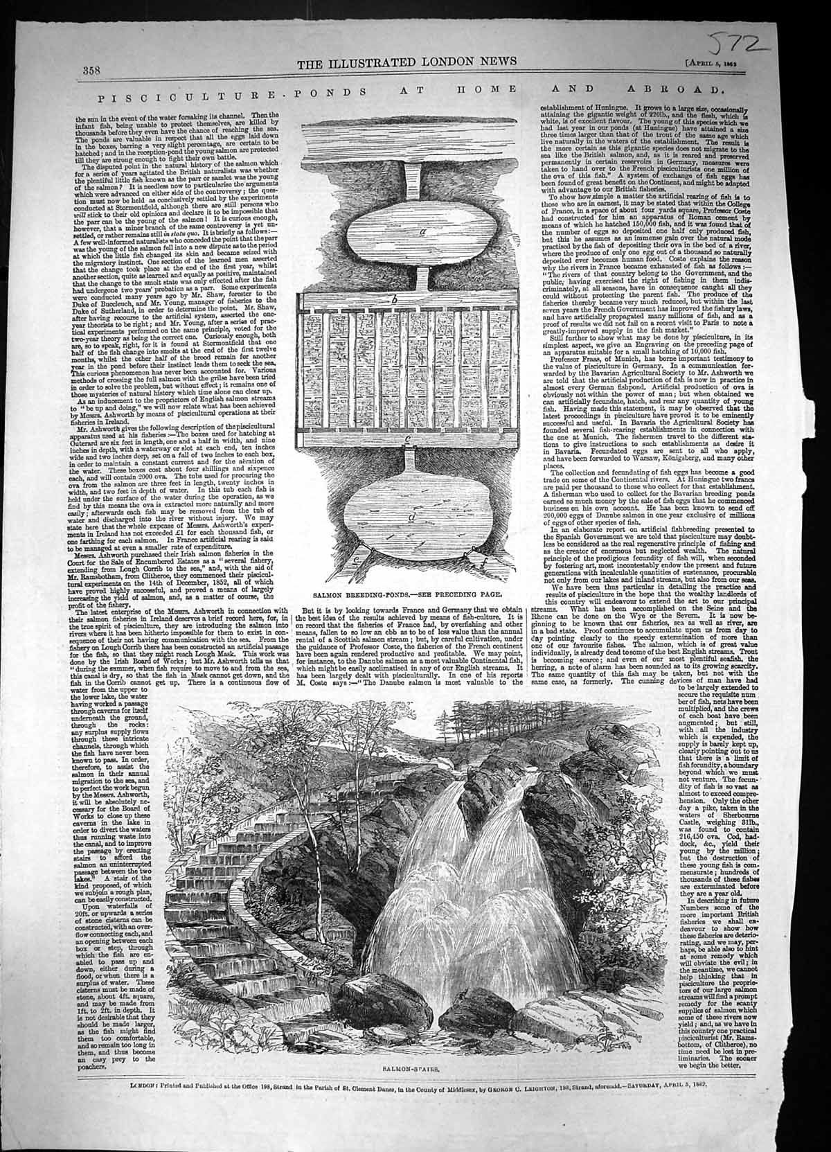 Original Old Antique Print 1862 Salmon Breeding Ponds River Pisciculture France