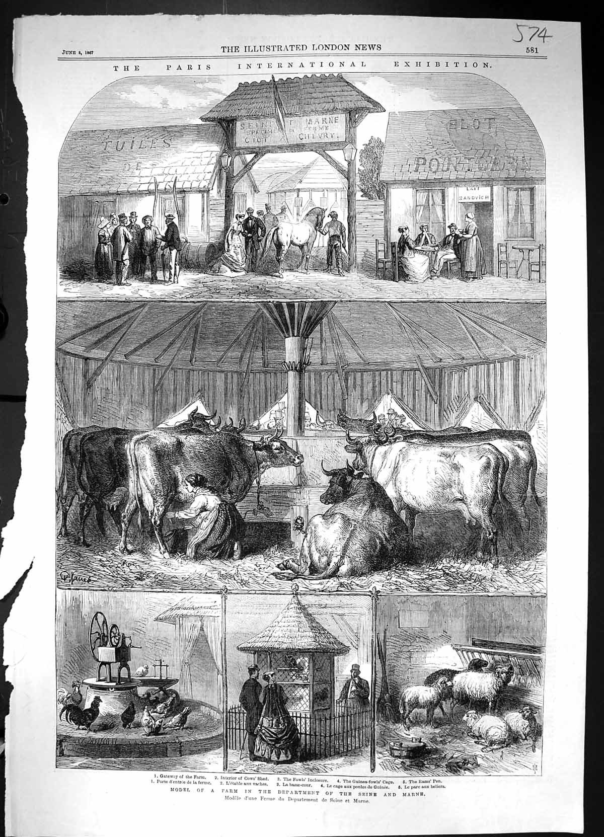 Old 1867 Paris Exhibition Model Farm Seine Marne Cows Guinea-Fowls Ra Victorian