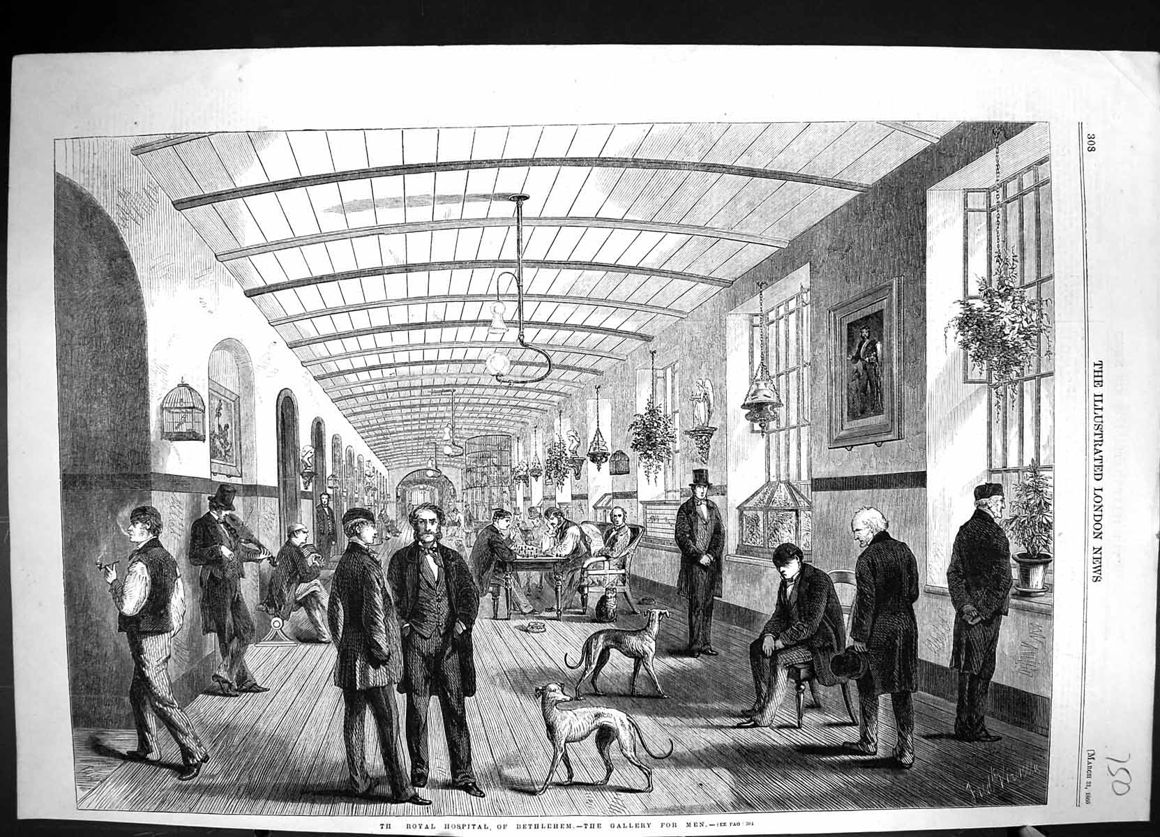 Old 1860 Interior Royal Hospital Bethlehem Men Gallery Patients Dogs Victorian