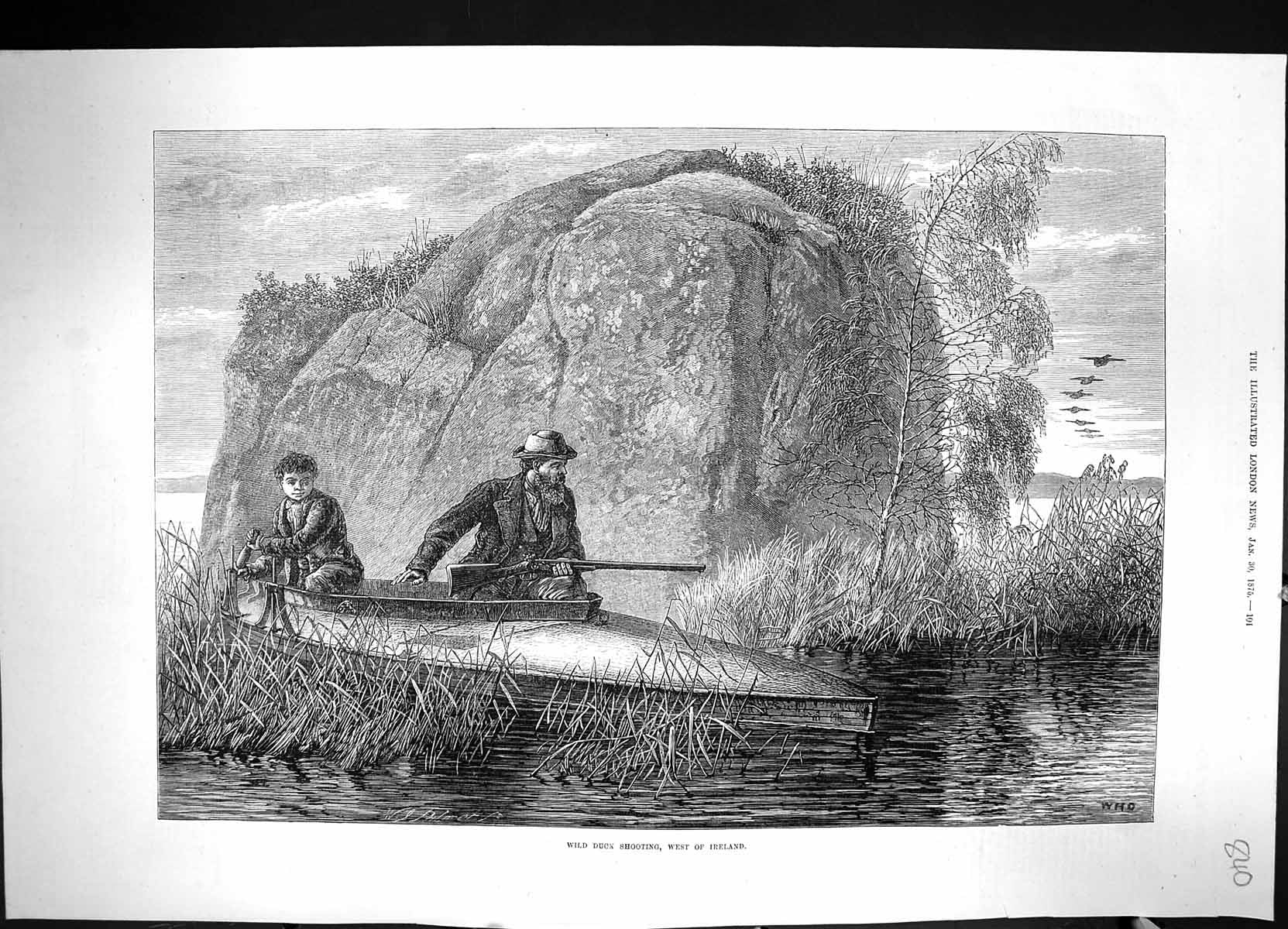 Antique Old Print 1875 Wild Duck Shooting Ireland River Boat Sport Hunting 19th