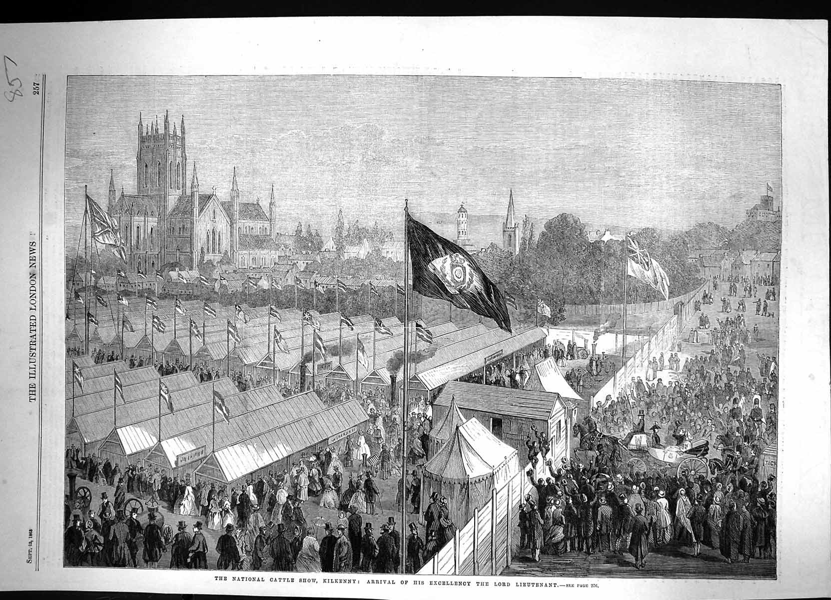 Original Old Antique Print 1863 National Cattle Show Kilkenny Lord Lieutenant