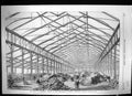 Antique Old Print 1858 American Plants Ashburnham Pavilion Cremorne Gardens