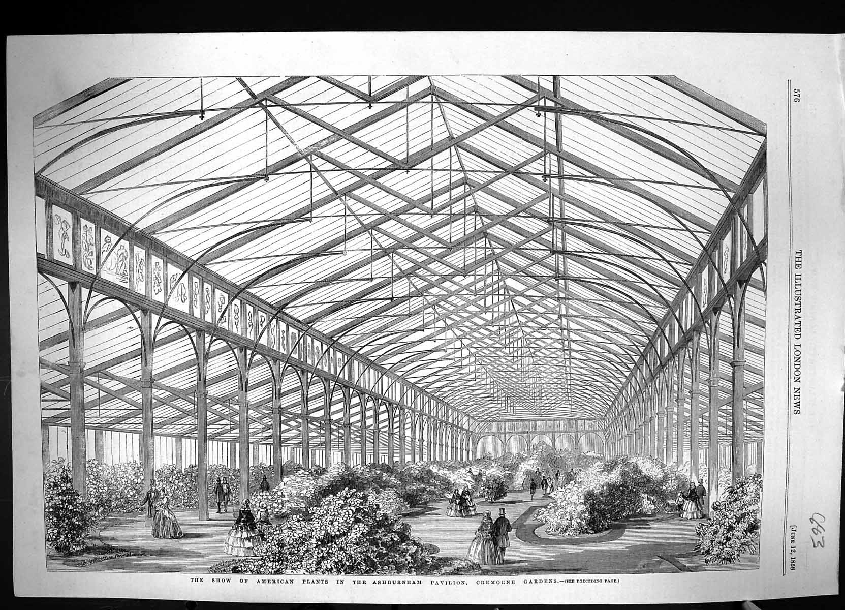 Antique Old Print 1858 American Plants Ashburnham Pavilion Cremorne Gardens
