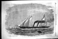 Original Old Antique Print 1856 Her Majesty Gun-Boat Ship Flying Fish Boats