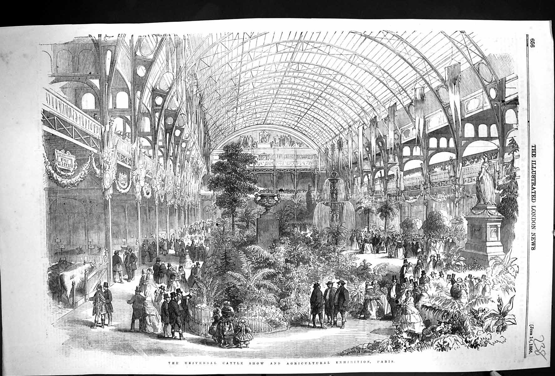 Old Print 1856 Universal Cattle Show Agricultural Exhibition Paris France 19th