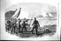 Old Print 1861 Civil War America New York Alabama Siers Battle Bull Ring 19th