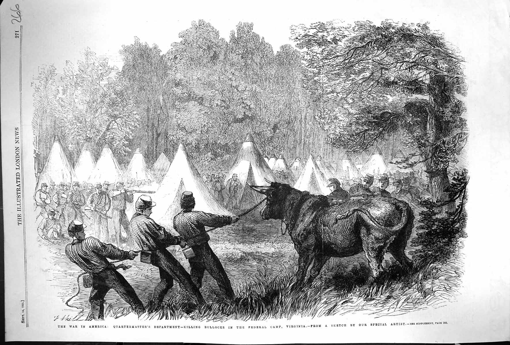 Old 1861 War America Quartermaster Killing Bullocks Federal Camp Virg Victorian