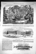 Old 1852 Pike Fish Colne Silesian Industrial Exhibition Breslau Cryst Victorian
