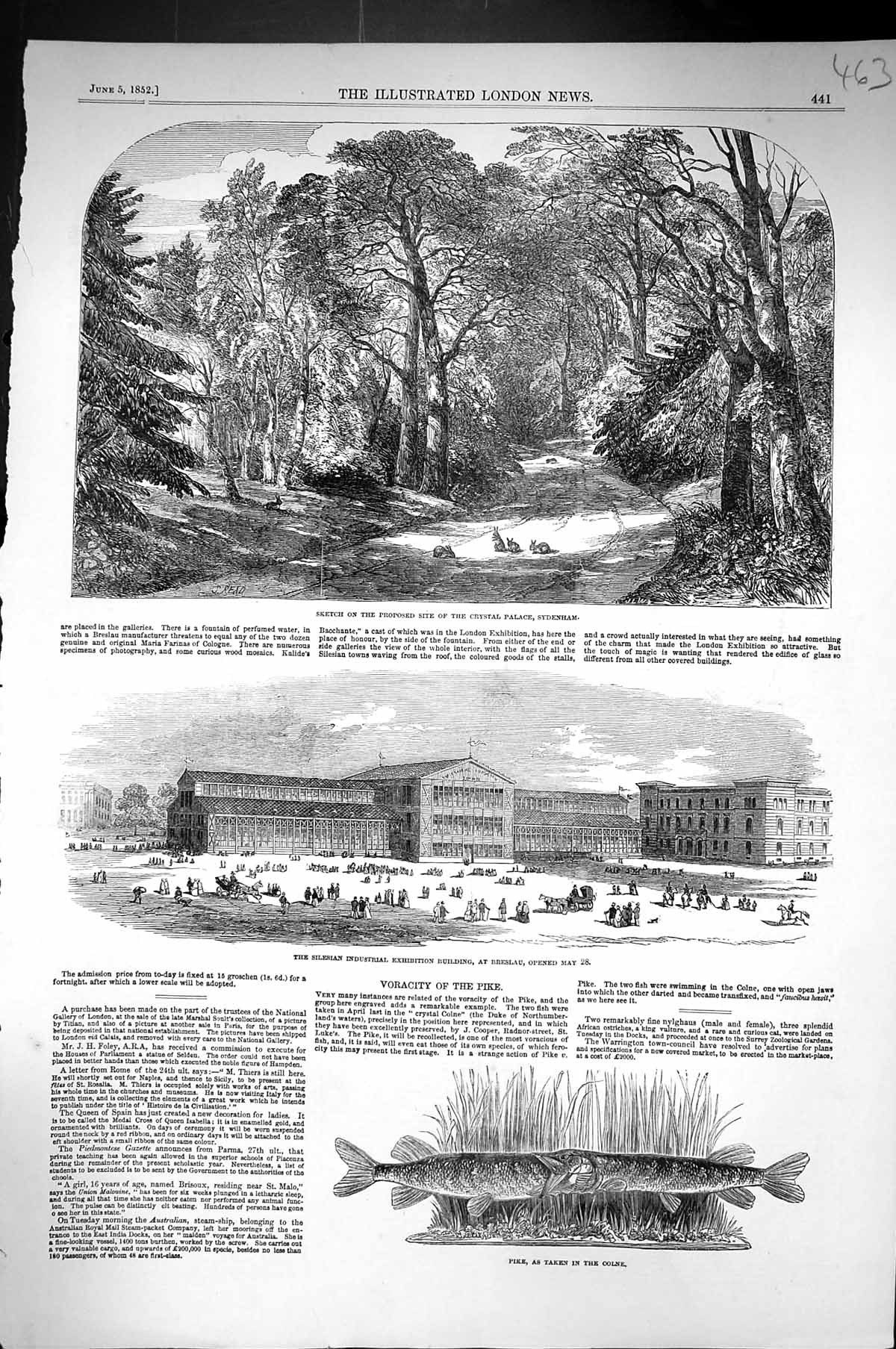 Old 1852 Pike Fish Colne Silesian Industrial Exhibition Breslau Cryst Victorian