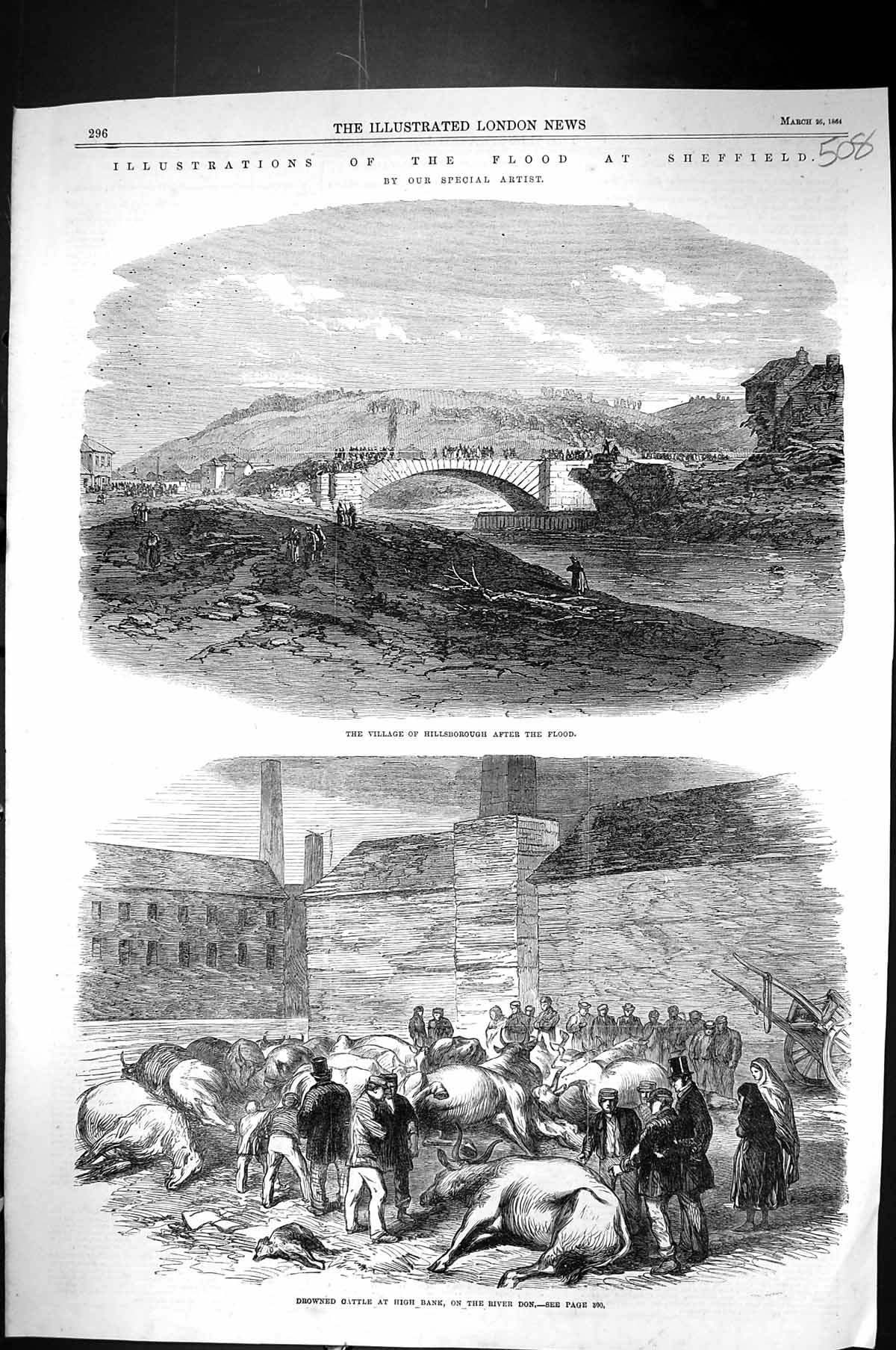Old 1864 Floods Sheffield Hillsborough Drowned Cattle High-Bank River Victorian