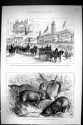 Old 1882 Prince Wales Leicester Children Singing National Anthem Pigm Victorian