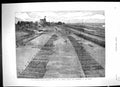 Old Print 1881 Volunteer Review Bird'S-Eye View Siers Windsor Castle Lon 19th