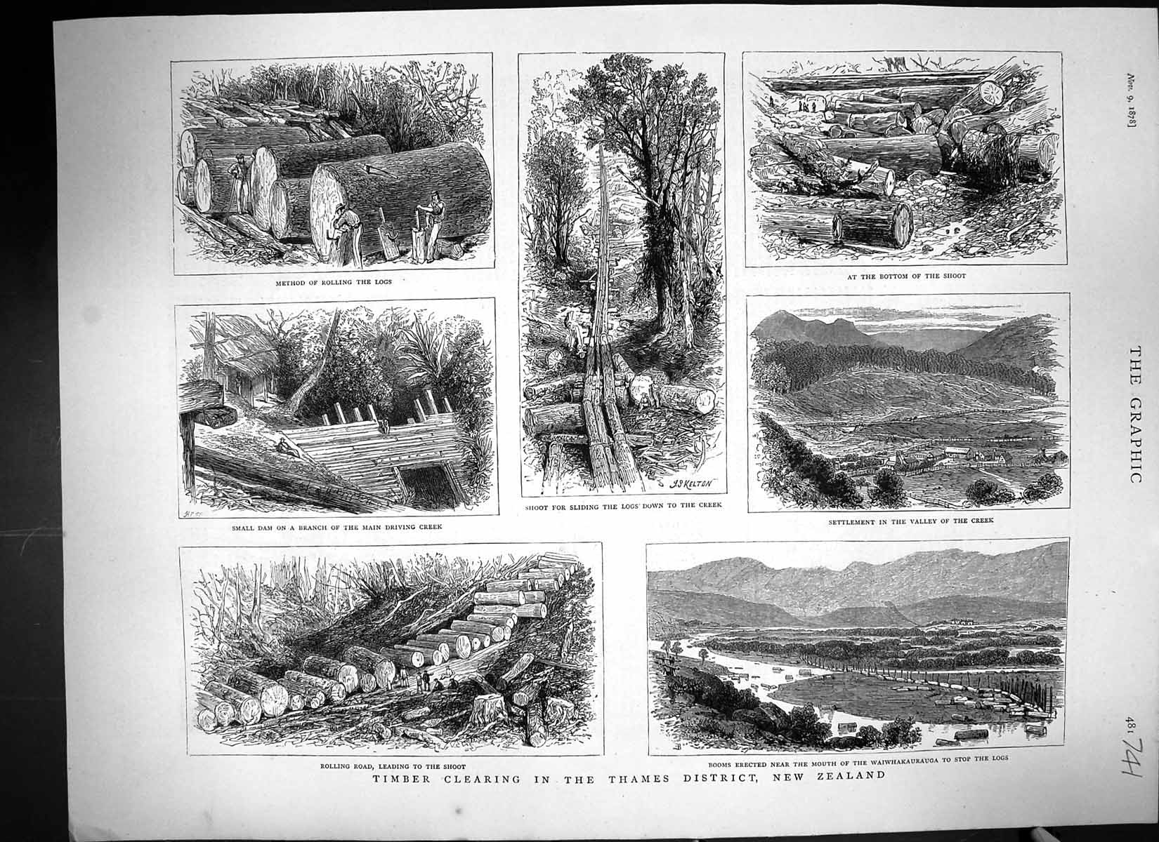 Old 1878 Timber Clearing Thames District New Zealand Waiwhakairauga L Victorian