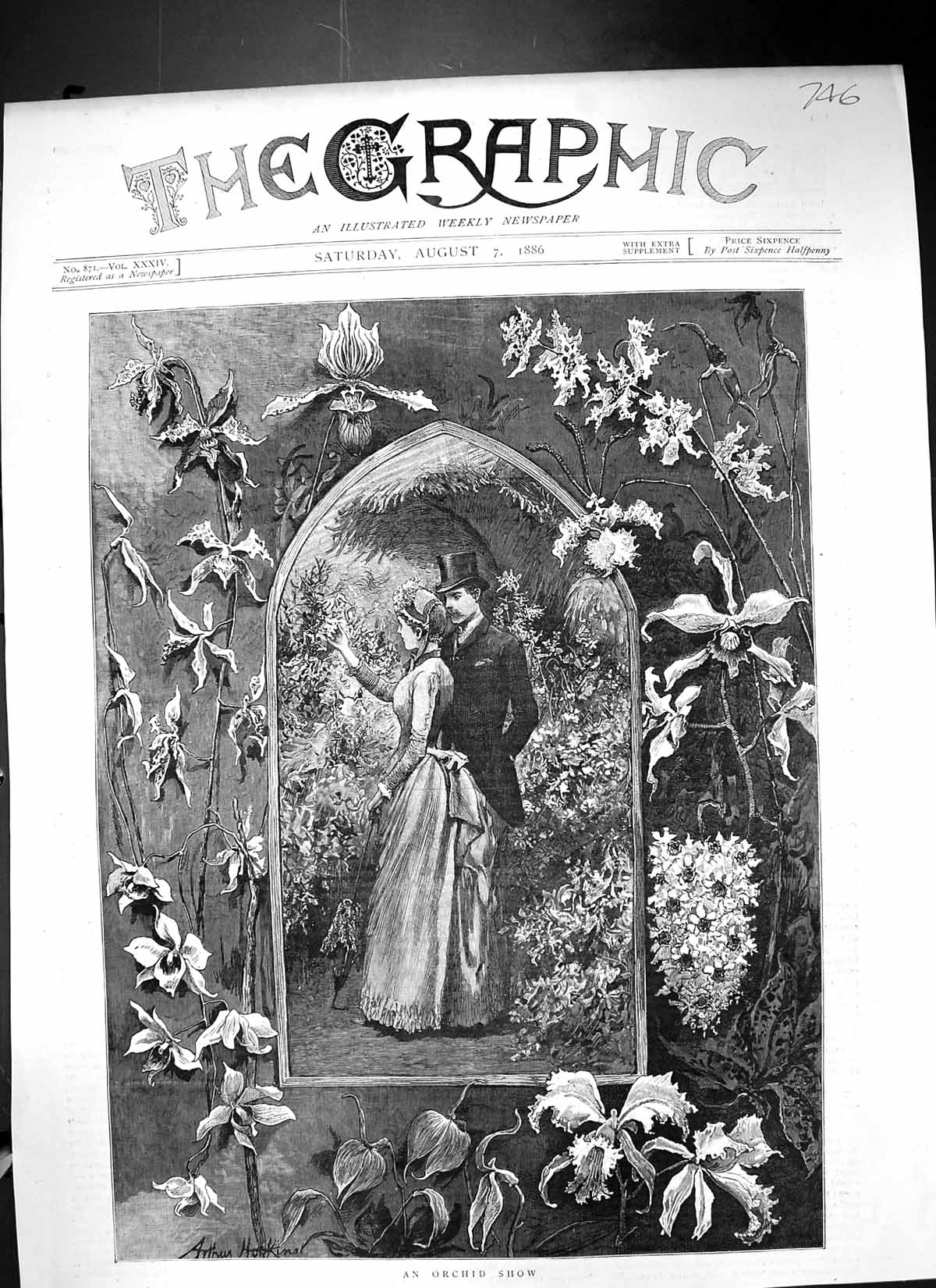 Antique Old Print 1886 Orchid Show Flowers Romance Arthur Hopkins Fine Art 19th