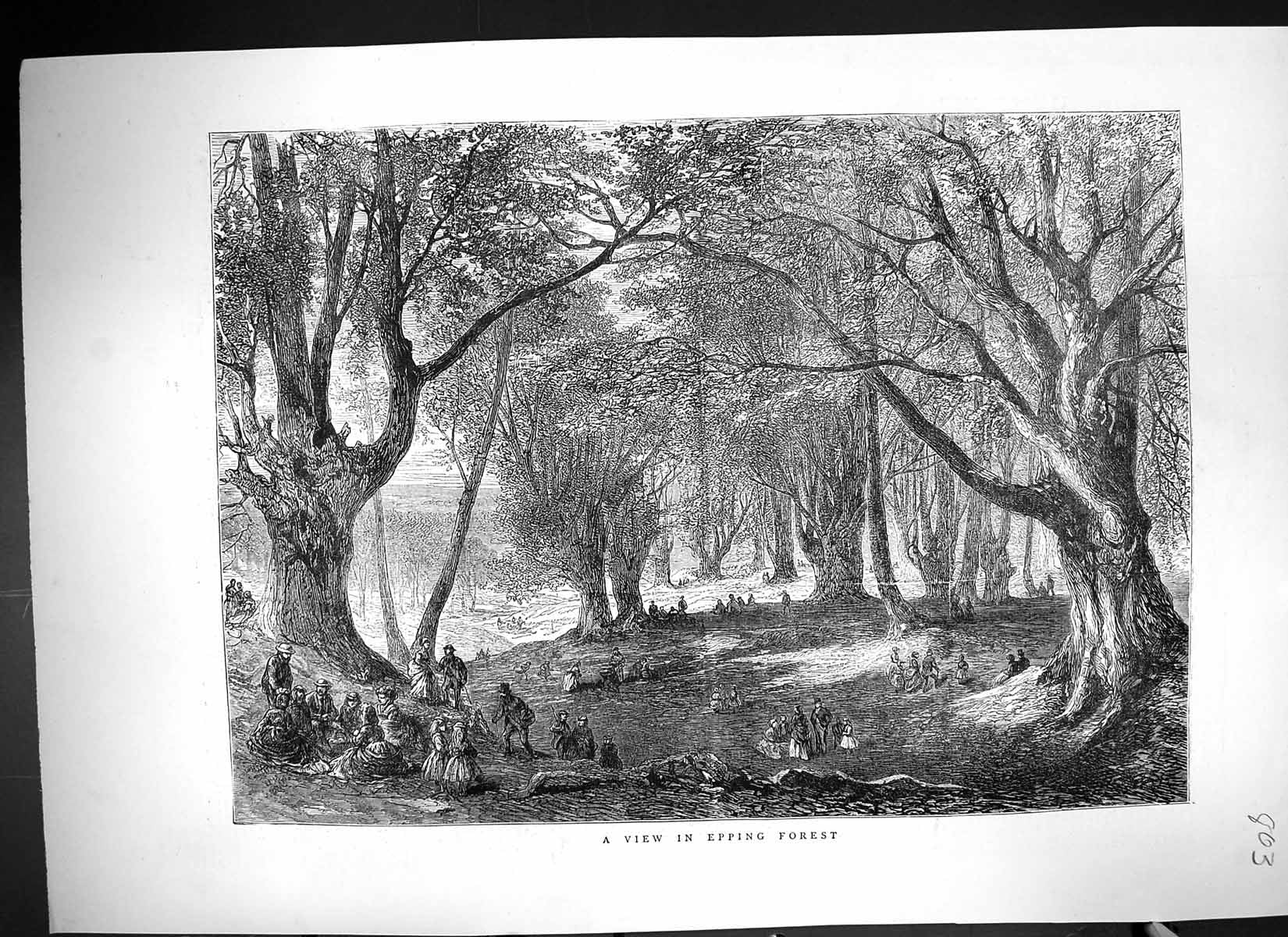 Old Antique Print 1871 View Epping Forest Families Picnics Trees Fine Art 19th
