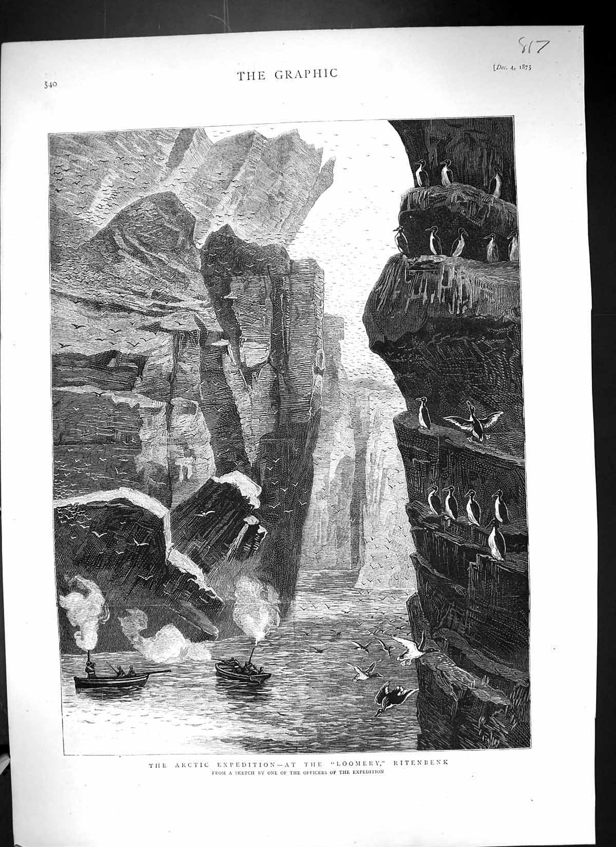 Old 1875 Arctic Expedition Loomery Ritenbenk Sea Birds Cliffs Men Sho Victorian