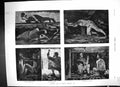 Old 1878 Working Coal Mine Miners Pit Spinney Top Vegitation Fine Art Victorian