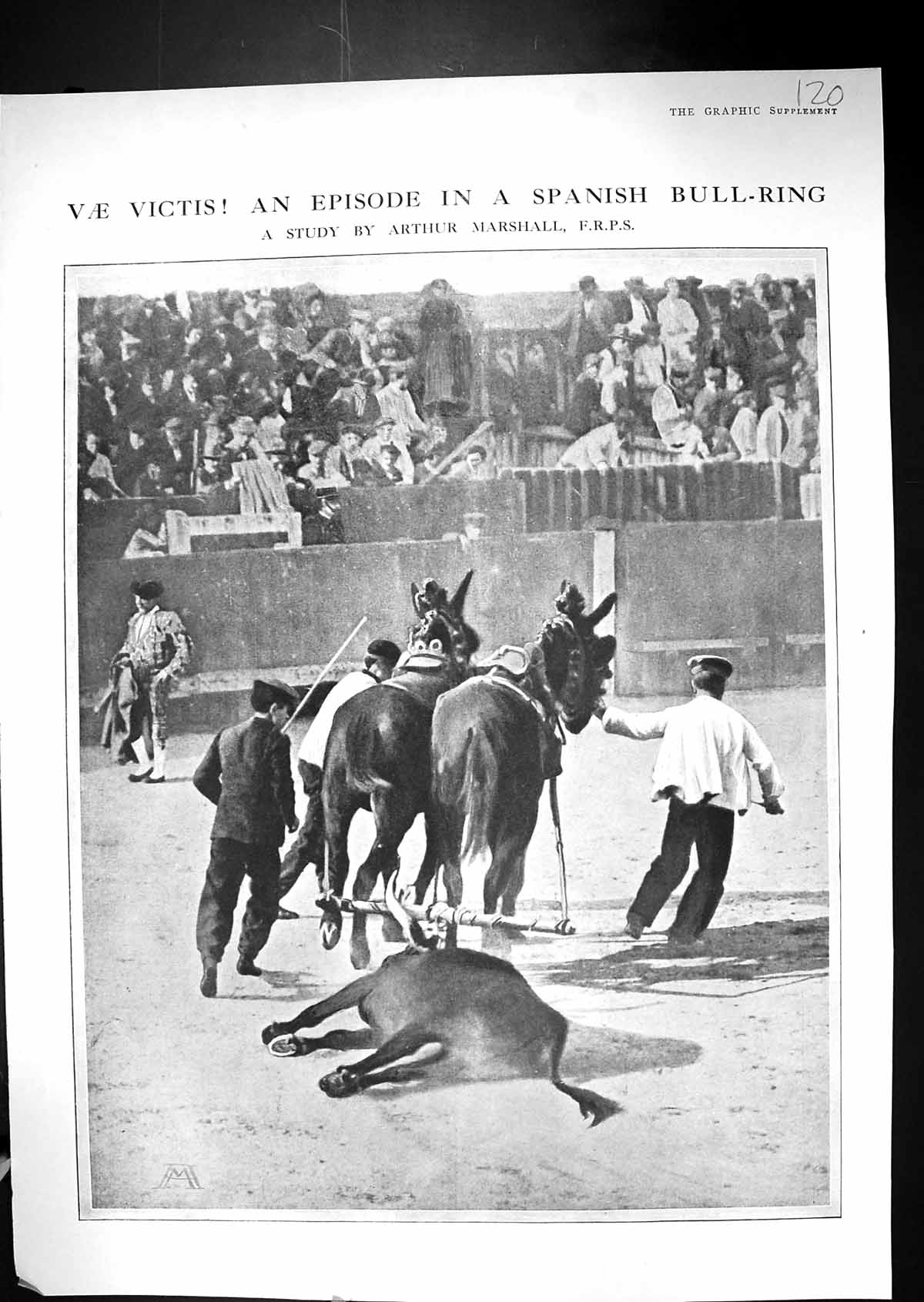 Old C1900 Scene Spanish Bull Ring Spain Horses Sport Arthur Marshall Victorian