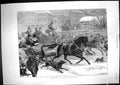 Old Antique Print 1873 Fine Art Horses Sleighing Harlem New York America 19th