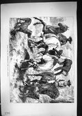 Old 1871 Bush Life Scene Australia Buck Jumper Horses Dog Basil Bradl Victorian