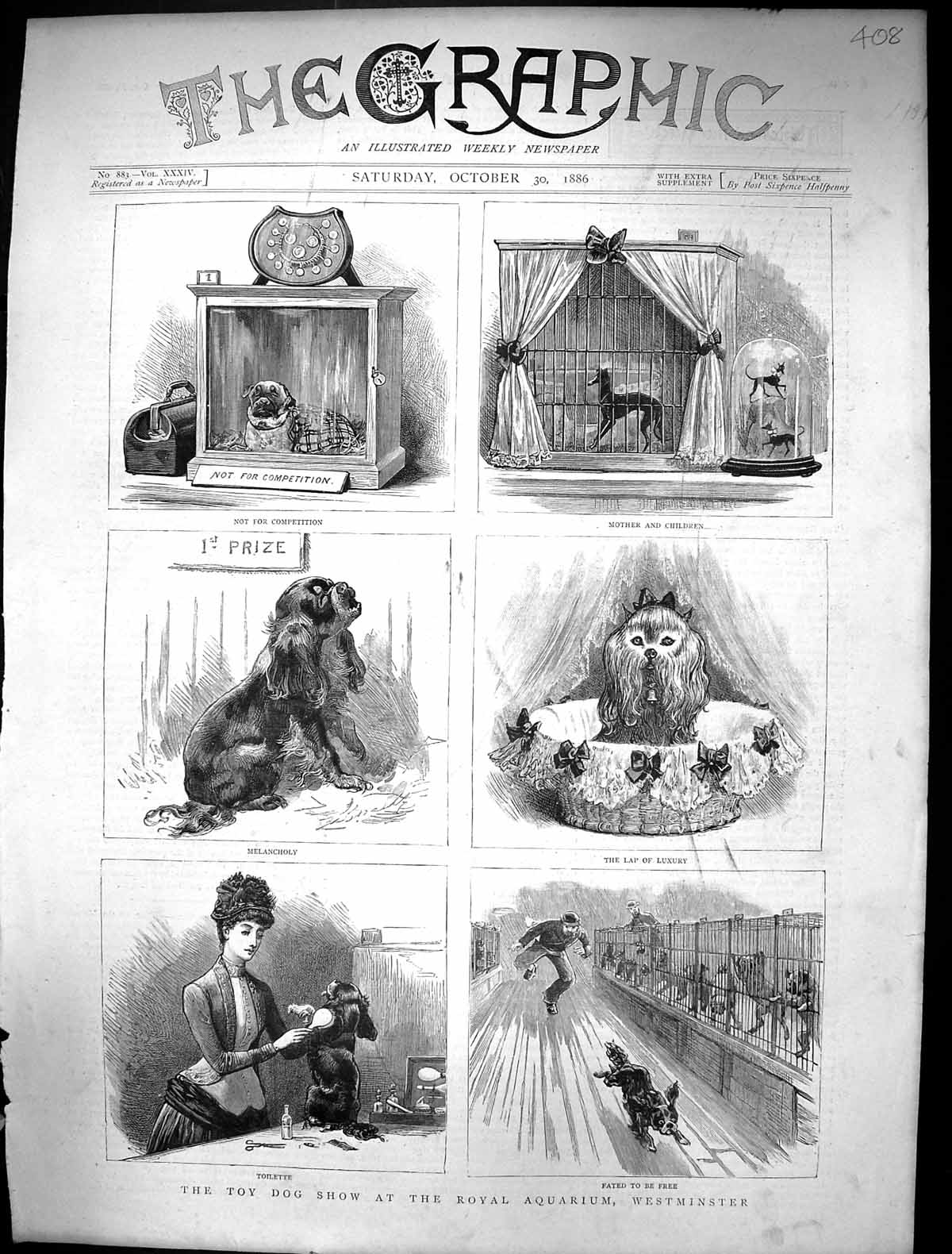 Original Old Antique Print 1886 Toy Dog Show Royal Aquarium Westminster London