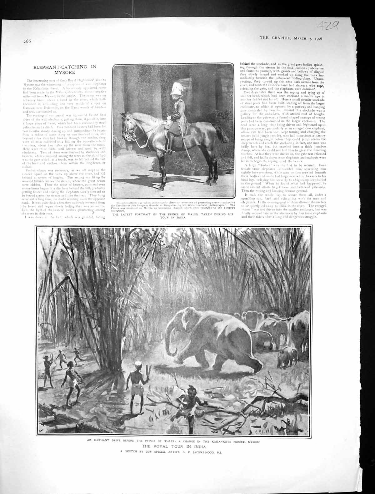 Old 1906 Royal Tour India Elephant Drive Prince Wales Kakankote Fores 20th