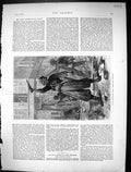 Antique Old Print 1871 Street Scene Paris France Man Shouting Open Shutters