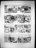 Antique Old Print 1886 Scene Burmah India Elephants Transport Bullock Nullah