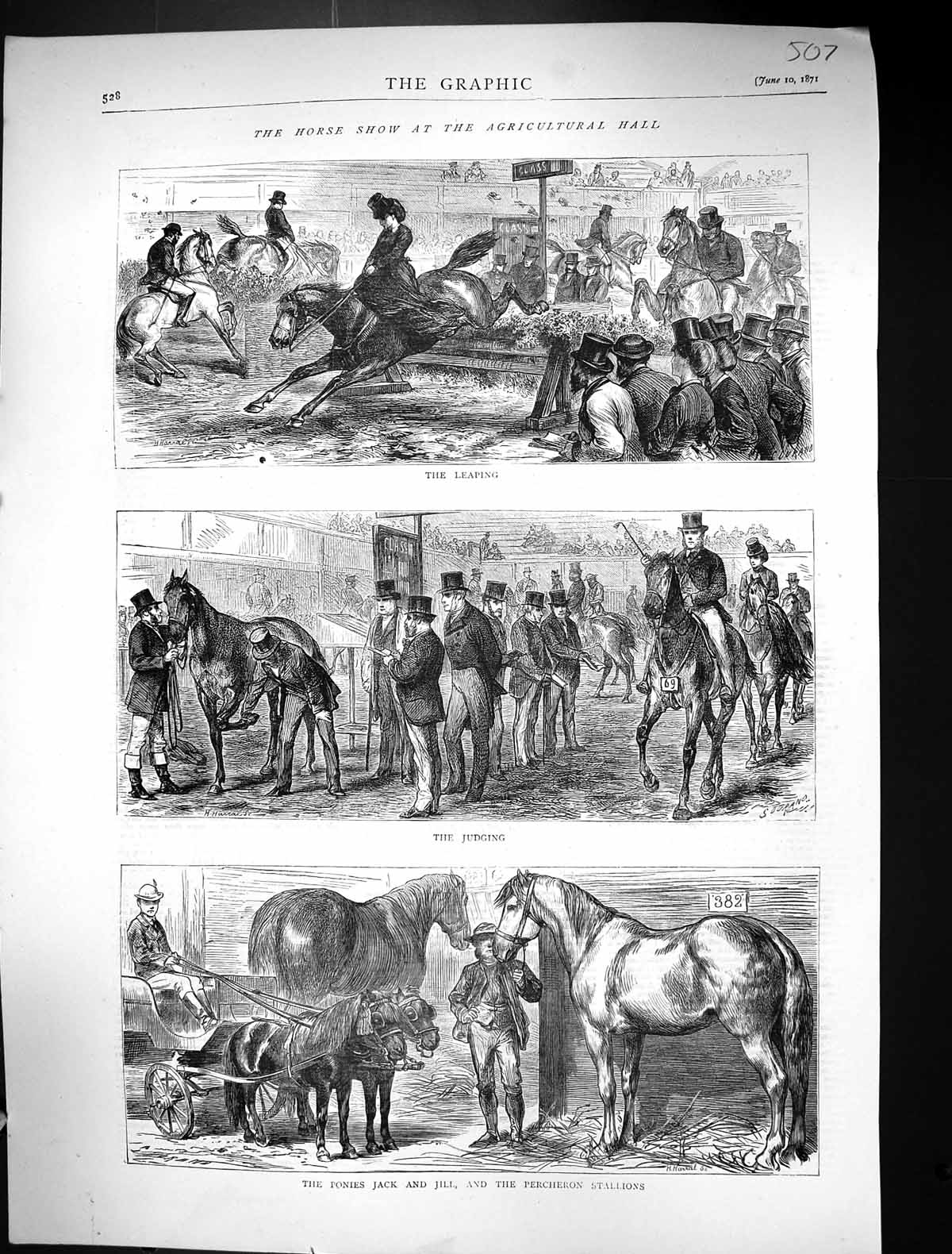 Old 1871 Horse Show Agricultural Hall Ponies Jack Jill Percheron Stal Victorian