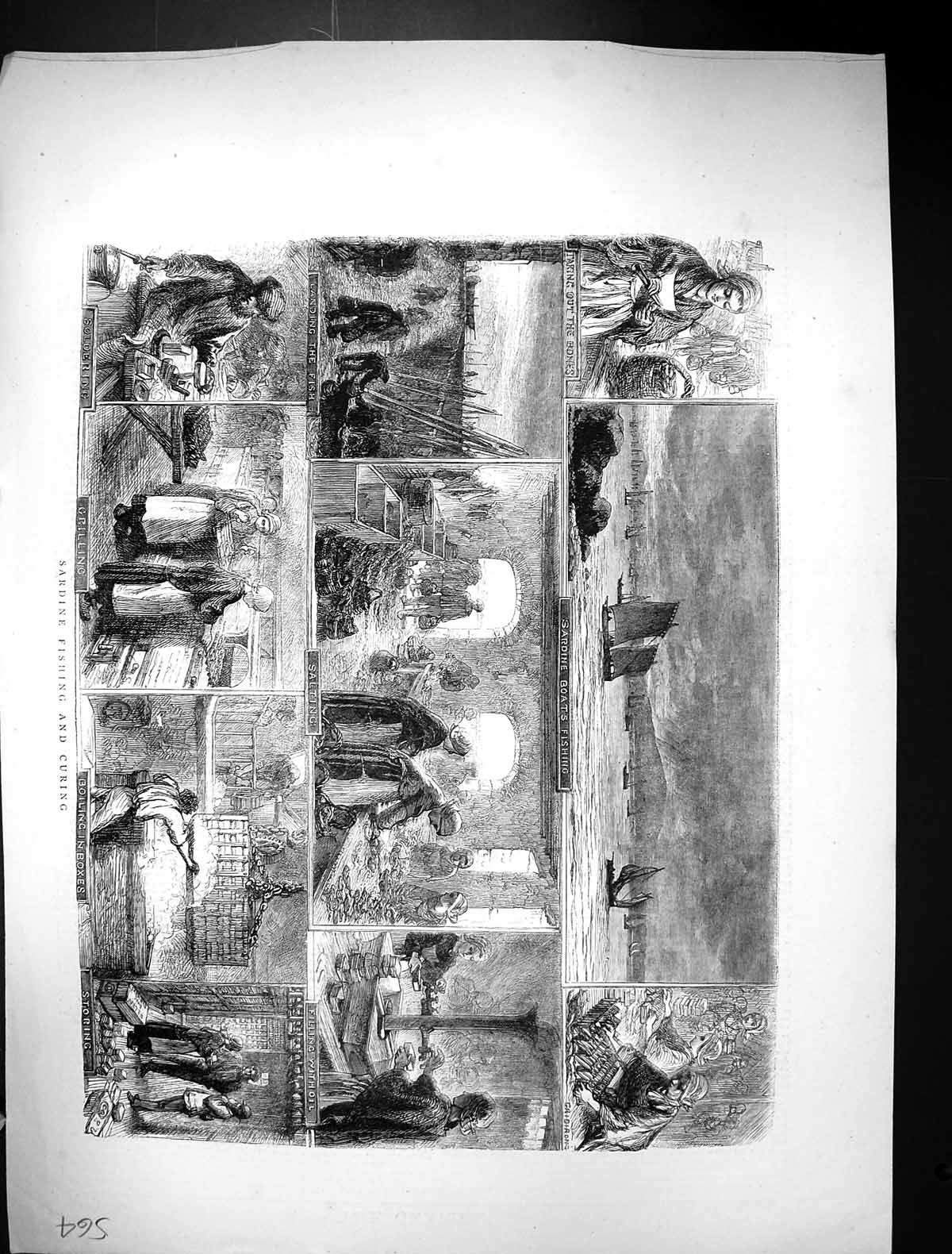 Original Old Antique Print 1871 Sardine Fishing Curing Boats Industry Fish 19th