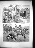 Old Print 1874 Stag Hunting Surrey Farm Sport Hounds Dogs Horses Huntsmen 19th