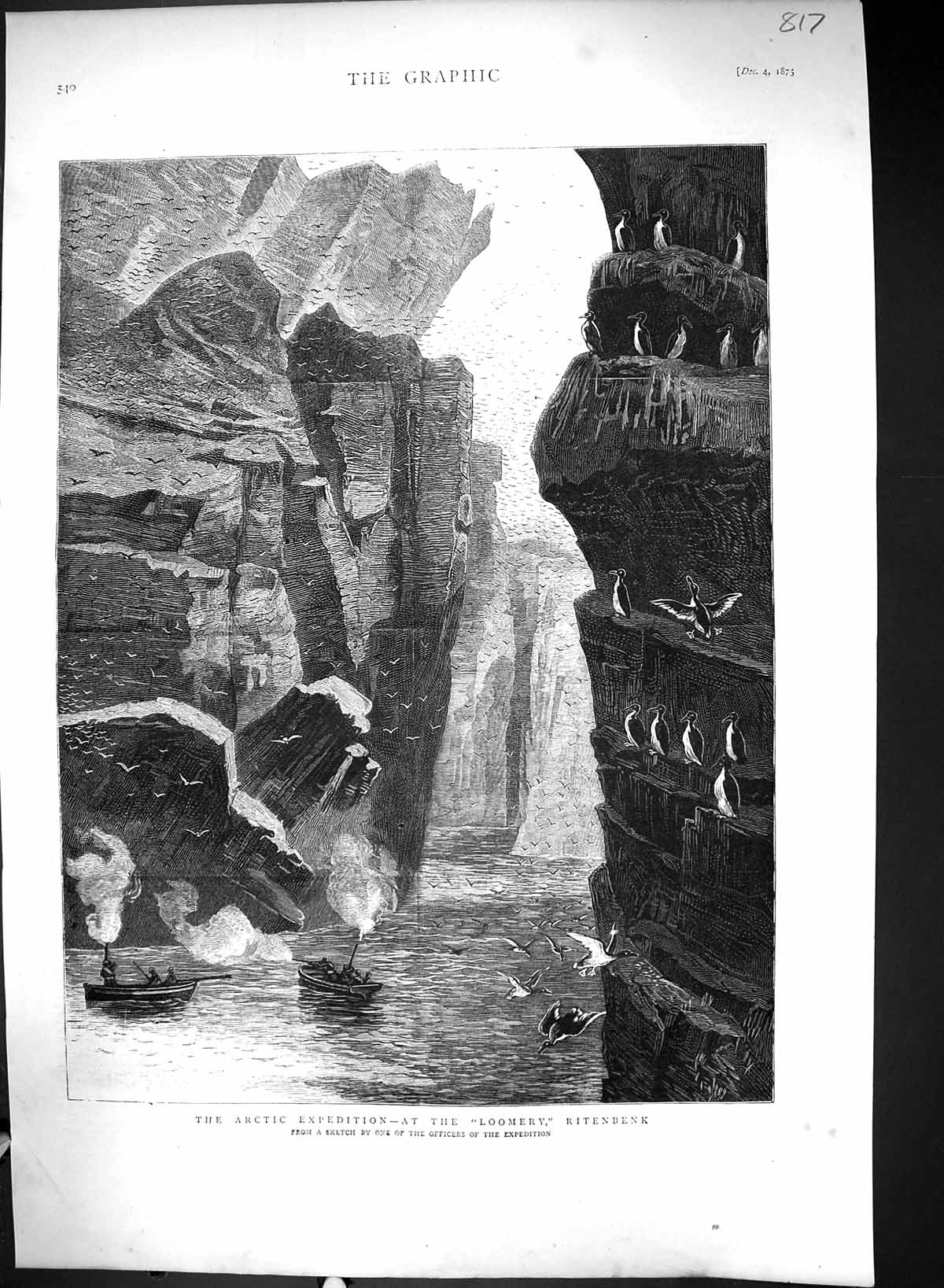 Old 1875 Arctic Expedition Loomery Ritenbenk Sea Birds Shooting Cliff Victorian