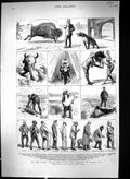 Old 1881 Marquis Lorne Canada Winnipeg Macgregor Buffalo Black-Foot C Victorian