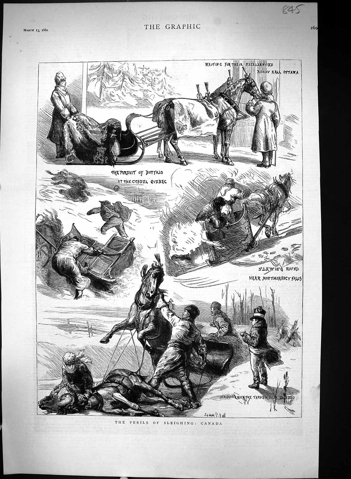 Old 1880 Sleighing Canada Sport Buffalo Huting Quebec Montmorency Fal Victorian
