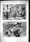 Old 1880 Russia Scene Blessing Cows St. George'S Day Poachers Polecat Victorian