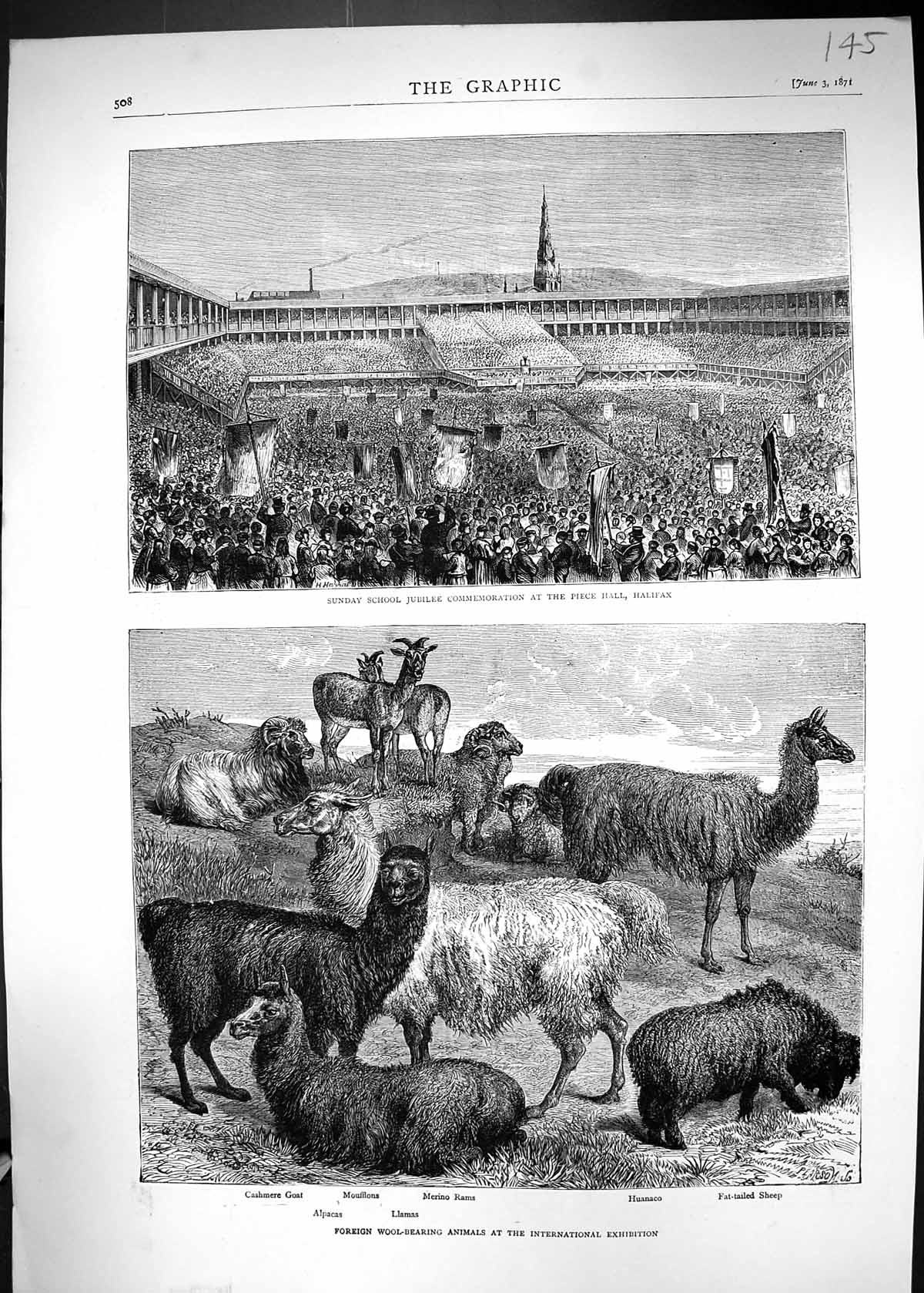 Old 1871 Sunday School Jubilee Piece Hall Halifax Goat Moufflons Rams Victorian