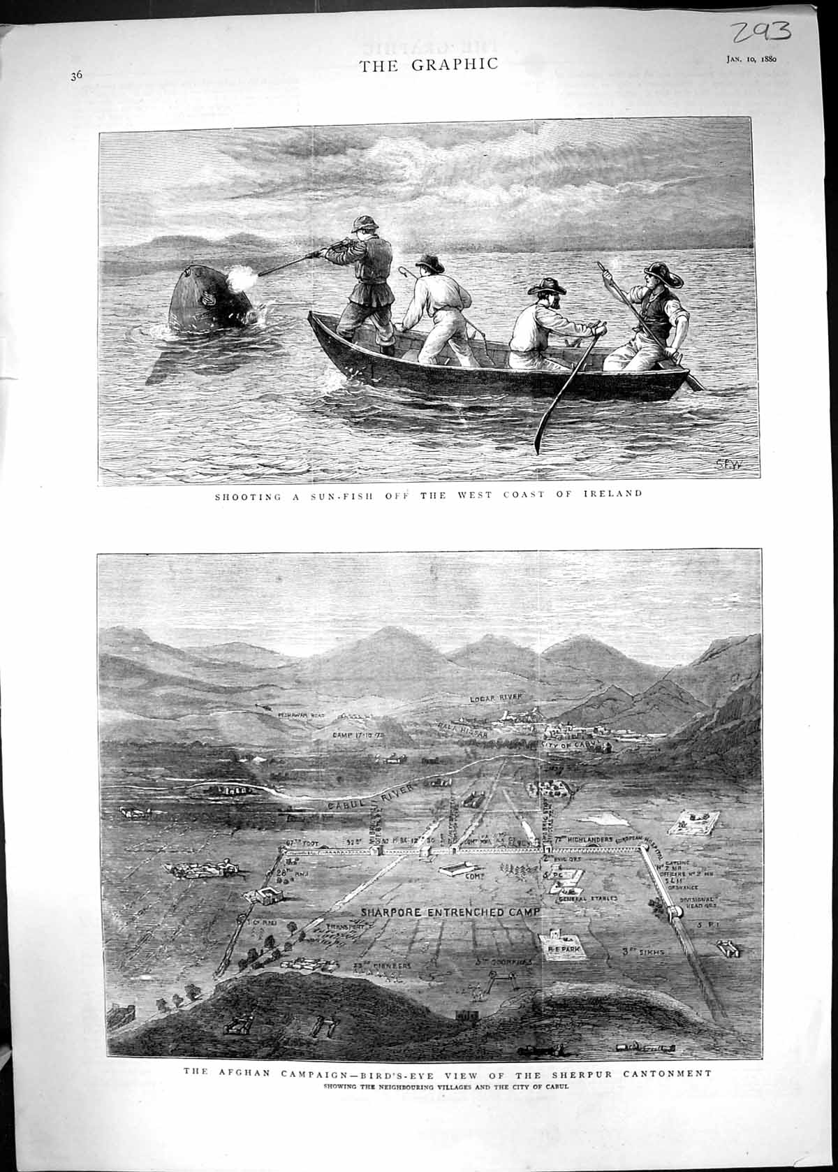 Old 1880 Shooting Sun Fish Ireland Afghan Campaign Sherpur Cantonment Victorian